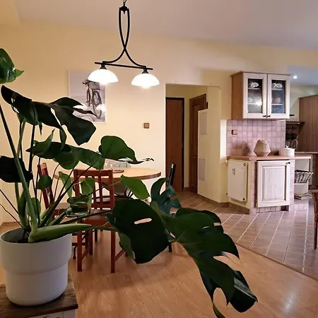 Apartmán In The Heart Of The Bratislava